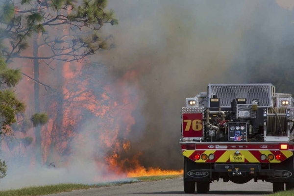 Wild Fires/Smoke Damage Leads image